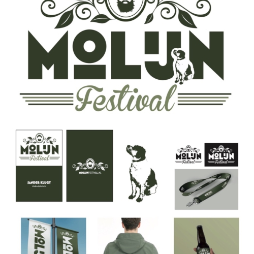 Molijn Festival_Bas_Olthof_Portfolio